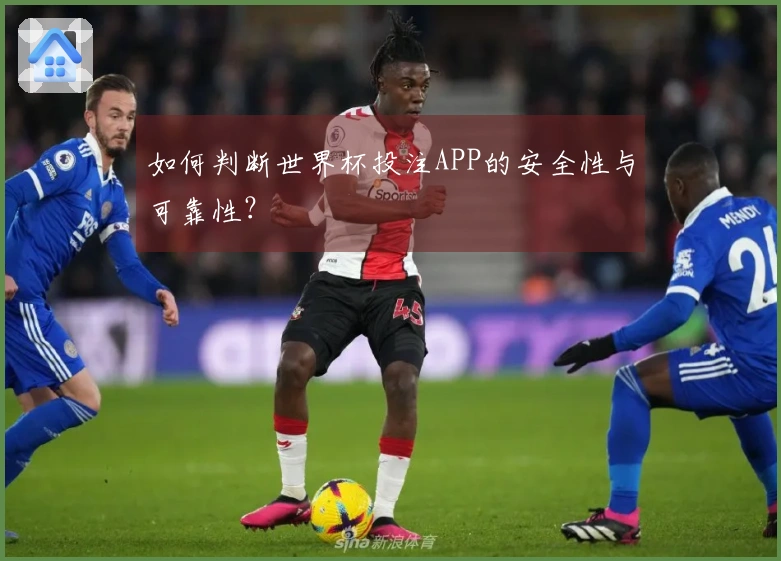 如何判断世界杯投注APP的安全性与可靠性？