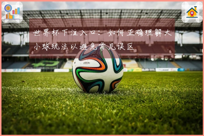 世界杯下注入口：如何正确理解大小球玩法以避免常见误区