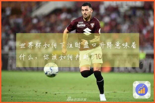 世界杯如何下注时盘口升降意味着什么,你该如何判断?