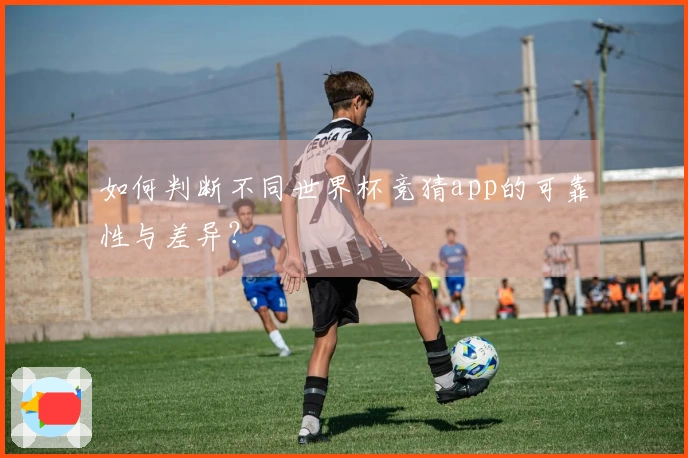 如何判断不同世界杯竞猜app的可靠性与差异？