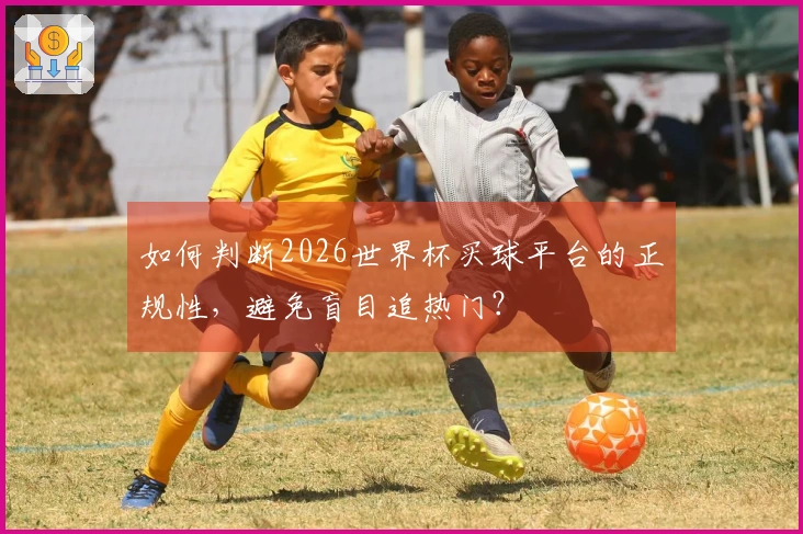 如何判断2026世界杯买球平台的正规性,避免盲目追热门?