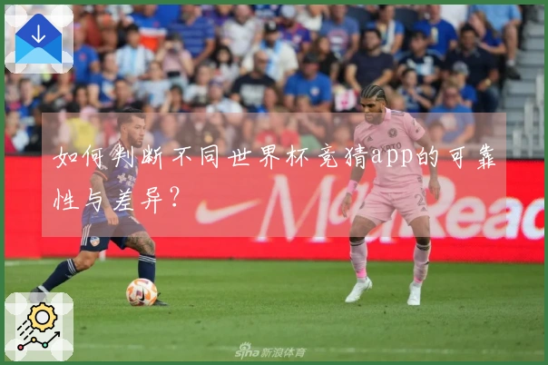 如何判断不同世界杯竞猜app的可靠性与差异?
