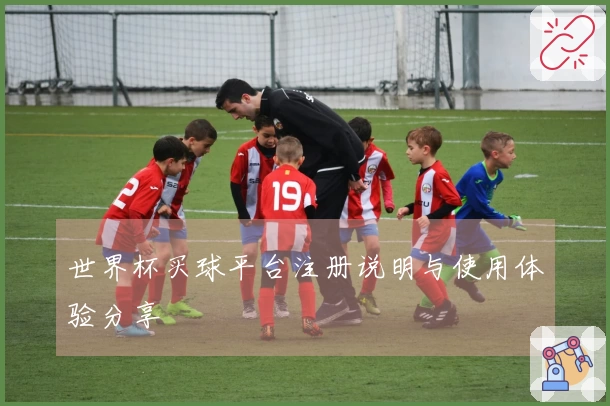 世界杯买球平台注册说明与使用体验分享