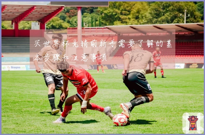 买世界杯竞猜前新手需要了解的基本步骤和注意事项