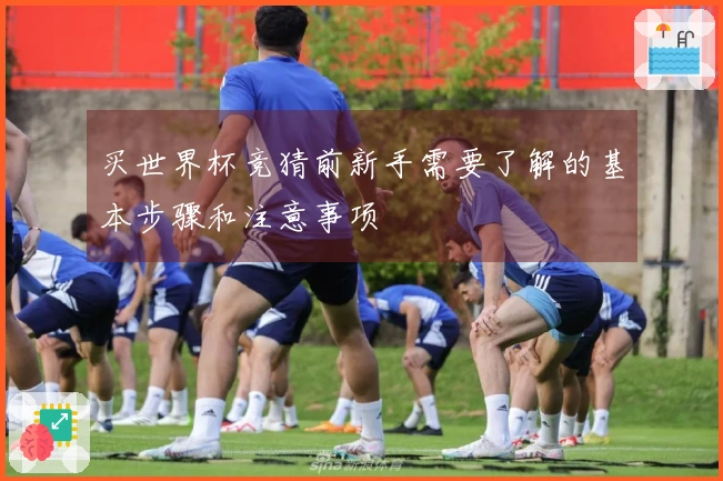 买世界杯竞猜前新手需要了解的基本步骤和注意事项