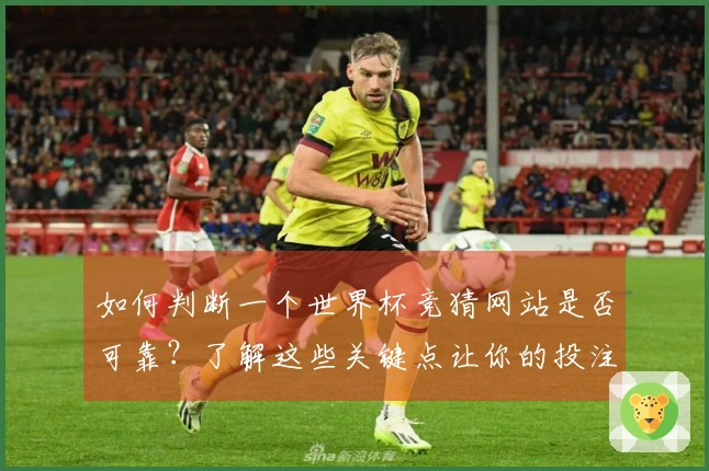 如何判断一个世界杯竞猜网站是否可靠？了解这些关键点让你的投注更安心