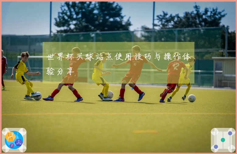 世界杯买球站点使用技巧与操作体验分享