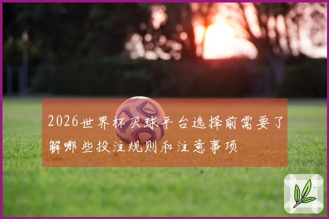 2026世界杯买球平台选择前需要了解哪些投注规则和注意事项