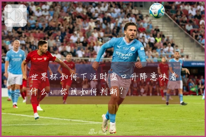 世界杯如何下注时盘口升降意味着什么，你该如何判断？