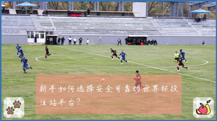 新手如何选择安全可靠的世界杯投注站平台？