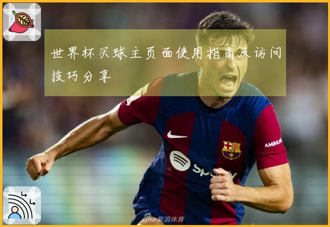 世界杯买球主页面使用指南及访问技巧分享