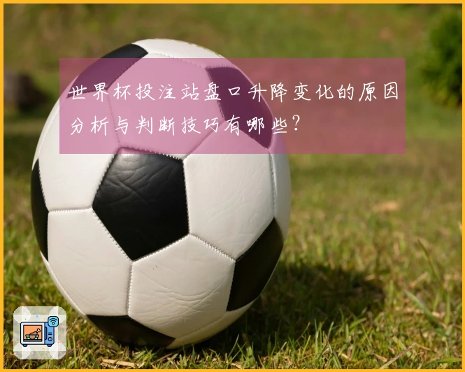 世界杯投注站盘口升降变化的原因分析与判断技巧有哪些？