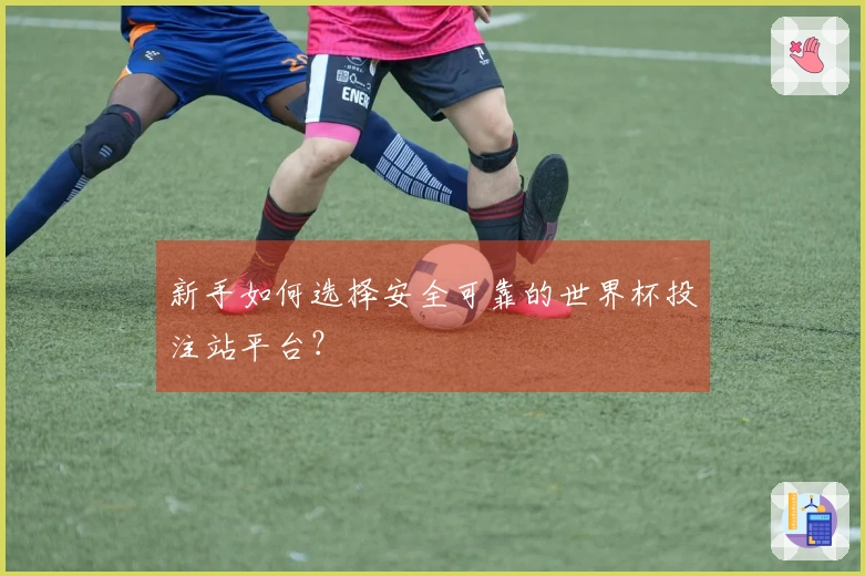 新手如何选择安全可靠的世界杯投注站平台？
