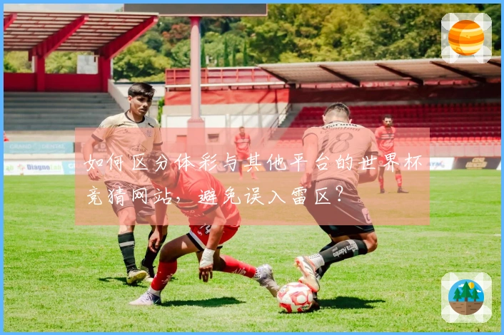 如何区分体彩与其他平台的世界杯竞猜网站，避免误入雷区？