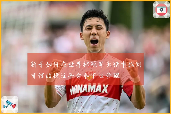 新手如何在世界杯冠军竞猜中找到可信的投注平台和下注步骤