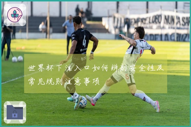 世界杯下注入口如何辨别安全性及常见规则注意事项