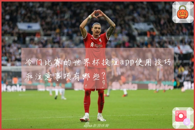 冷门比赛的世界杯投注app使用技巧和注意事项有哪些？