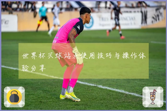 世界杯买球站点使用技巧与操作体验分享