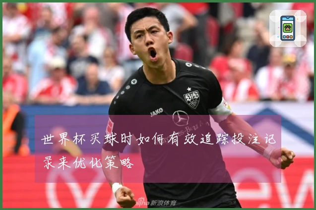 世界杯买球时如何有效追踪投注记录来优化策略