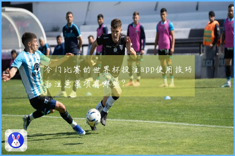 冷门比赛的世界杯投注app使用技巧和注意事项有哪些?