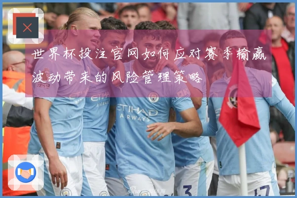 世界杯投注官网如何应对赛季输赢波动带来的风险管理策略