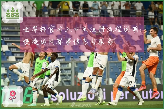 世界杯官方入口及注册流程说明，便捷访问赛事信息与服务
