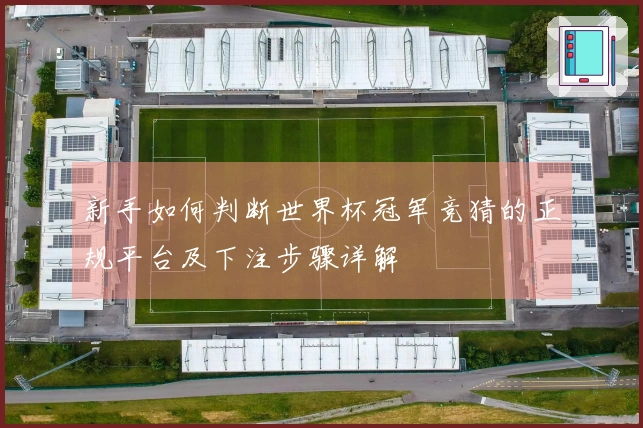 新手如何判断世界杯冠军竞猜的正规平台及下注步骤详解