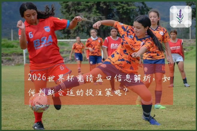 2026世界杯竞猜盘口信息解析，如何判断合适的投注策略？