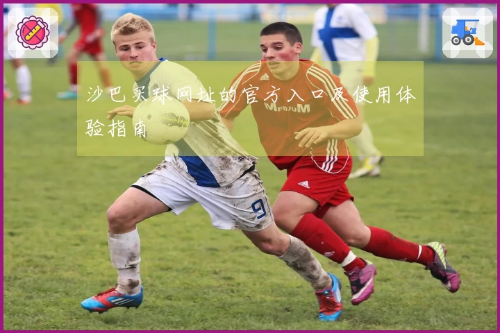 沙巴买球网址的官方入口及使用体验指南