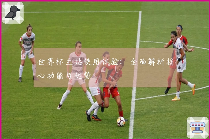 世界杯主站使用体验:全面解析核心功能与优势