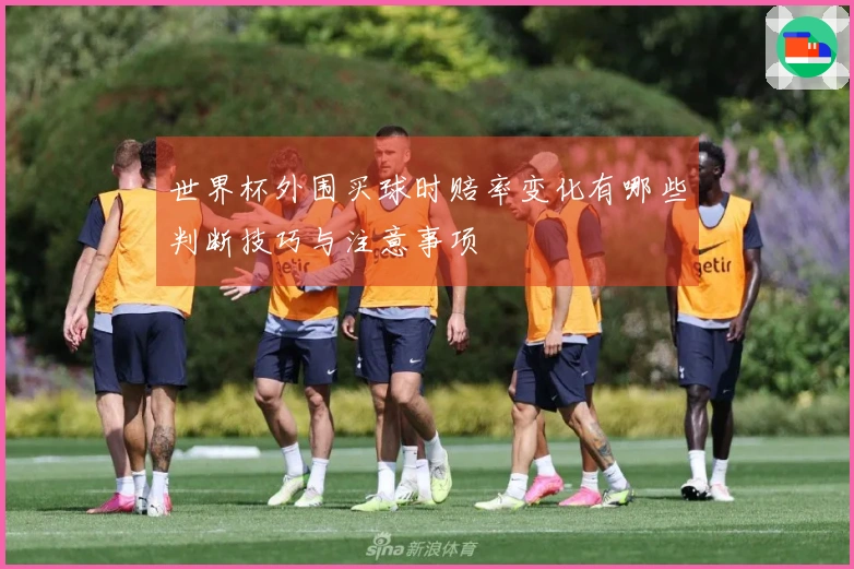 世界杯外围买球时赔率变化有哪些判断技巧与注意事项