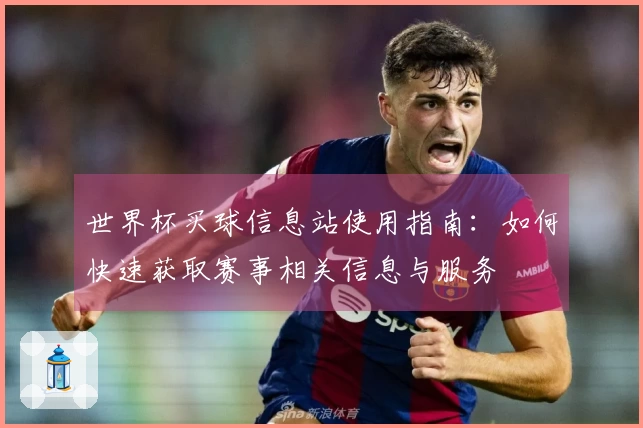 世界杯买球信息站使用指南：如何快速获取赛事相关信息与服务